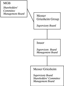 GOVERNING BODY DIAGRAM